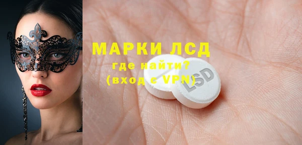 прущие грибы Инсар