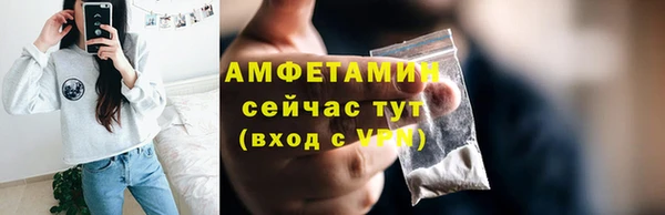прущие грибы Инсар