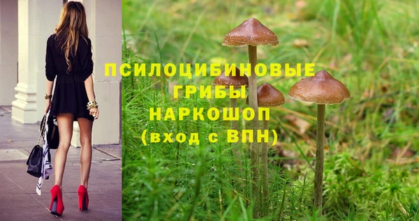 2c-b Иннополис