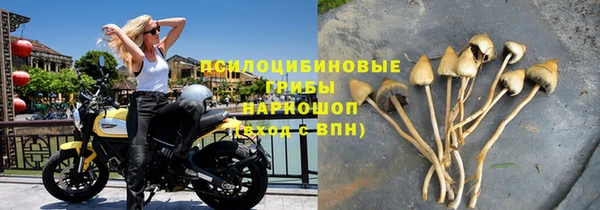 прущие грибы Инсар