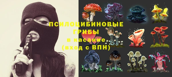 прущие грибы Инсар