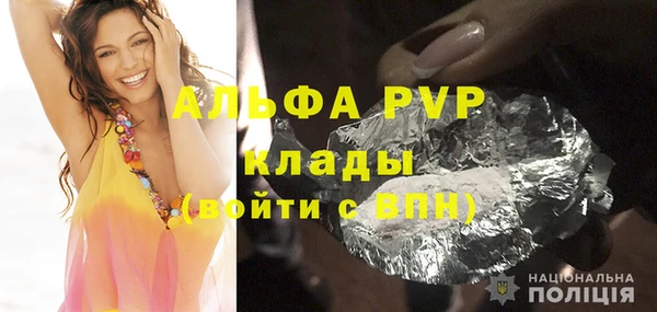 прущие грибы Инсар