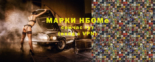 прущие грибы Инсар