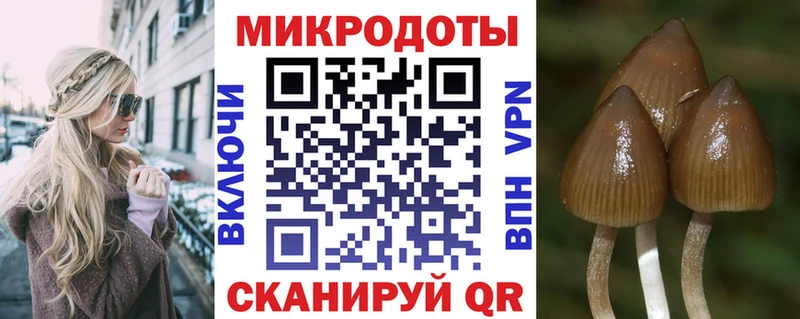 Галлюциногенные грибы Magic Shrooms  Пушкино 