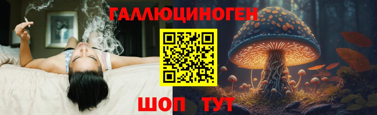 Галлюциногенные грибы MAGIC MUSHROOMS  Псилоцибиновые грибы Psilocybe  Пушкино  Вход с VPN 